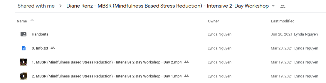 MBSR (Mindfulness Based Stress Reduction) - Intensive 2-Day Workshop - Diane Renz