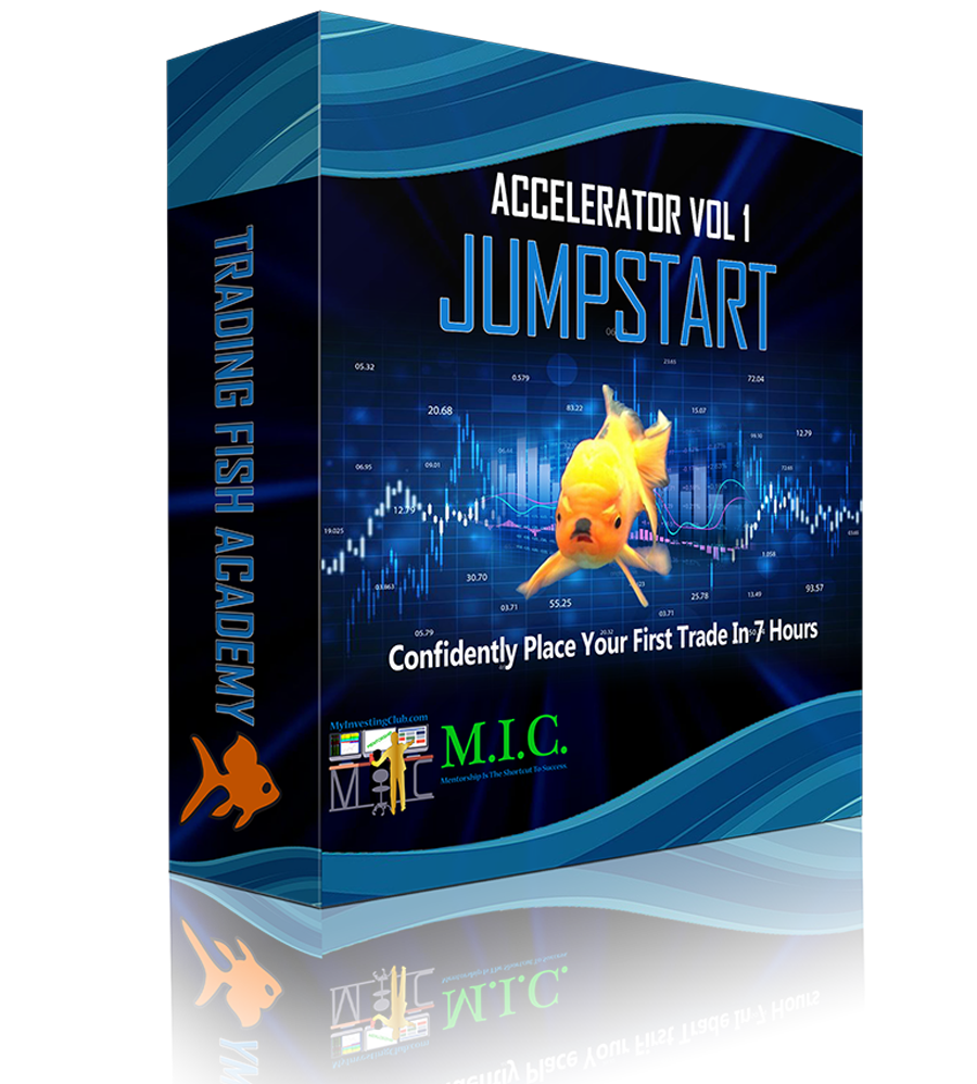 MIC JUMPSTART ACCELERATOR