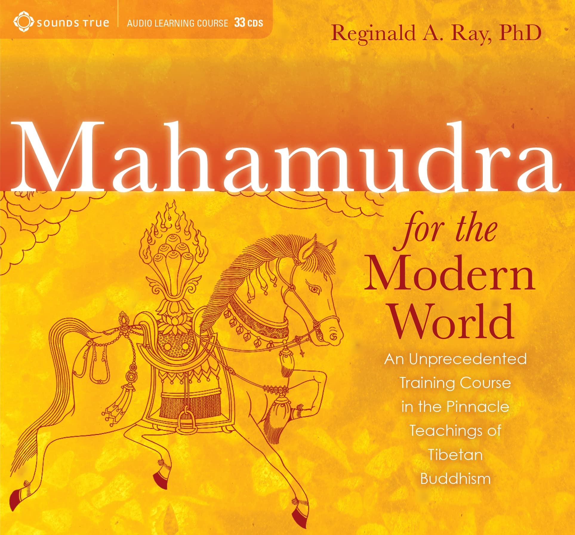 Mahamudra for the Modern World