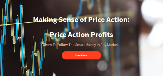 Making Sense of Price Action Price Action Profits