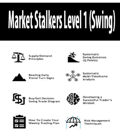 Market Stalkers Level 1 - Swing trading school (2020)