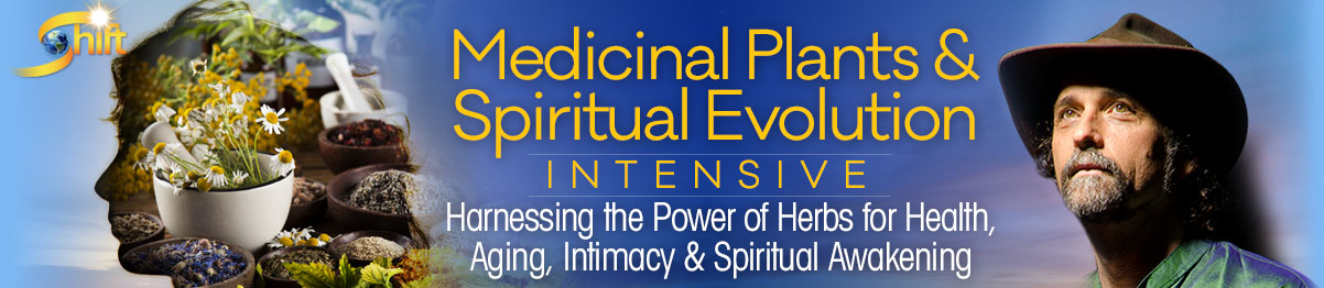 Medicinal Plants and Spiritual Evolution Intensive