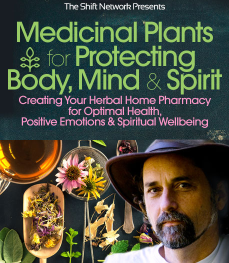 Medicinal Plants for Protecting the Body, Mind and Spirit - David Crow