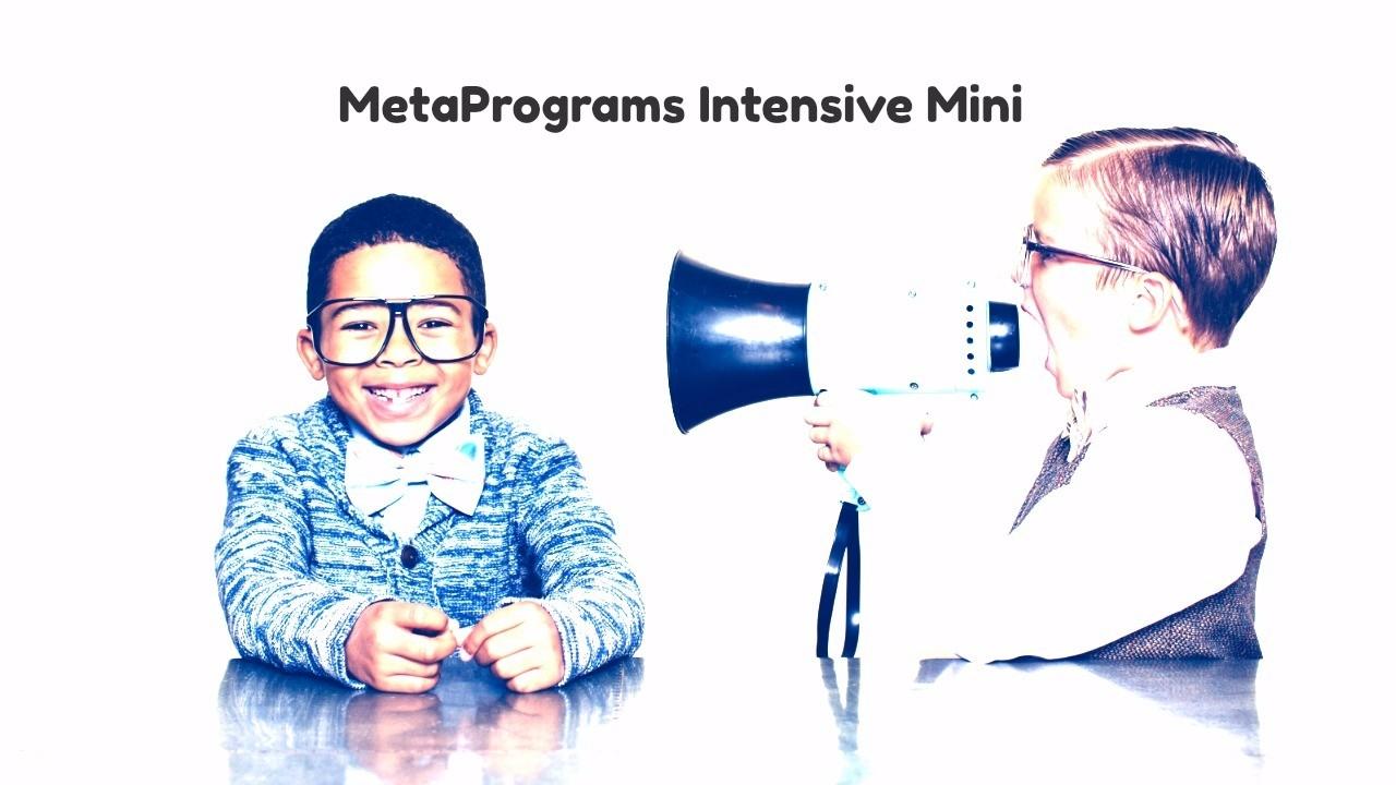 MetaPrograms Intensive Mini Course