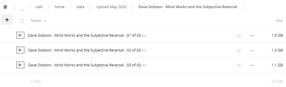 Dave Dobson - Mind Works and the Subjective Reversal