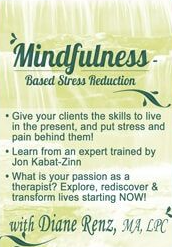 Mindfulness-Based Stress Reduction (MBSR)