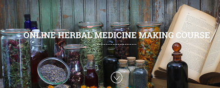 ONLINE HERBAL MEDICINE MAKING COURSE1