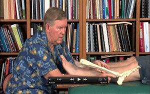 PRRT Mini Course - Liquidating Low Back & Leg Pain (Online Version)