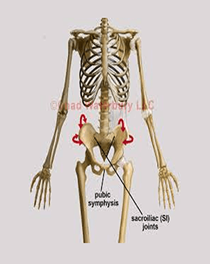 Pelvis Restoration 2017