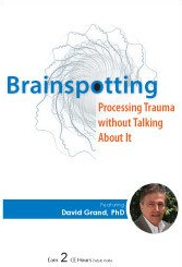 Psychotherapy Networker Symposium Brainspotting Processing Trauma without Talking About It