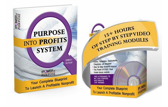 Purpose Into Profits System