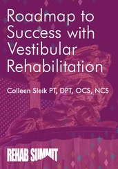 Roadmap to Success with Vestibular Rehabilitation