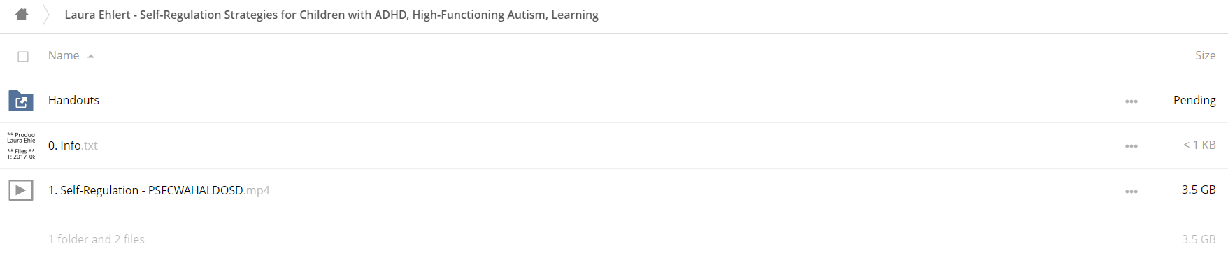 Self-Regulation Strategies for Children with ADHD, High-Functioning Autism, Learning Disabilities or Sensory Disorders