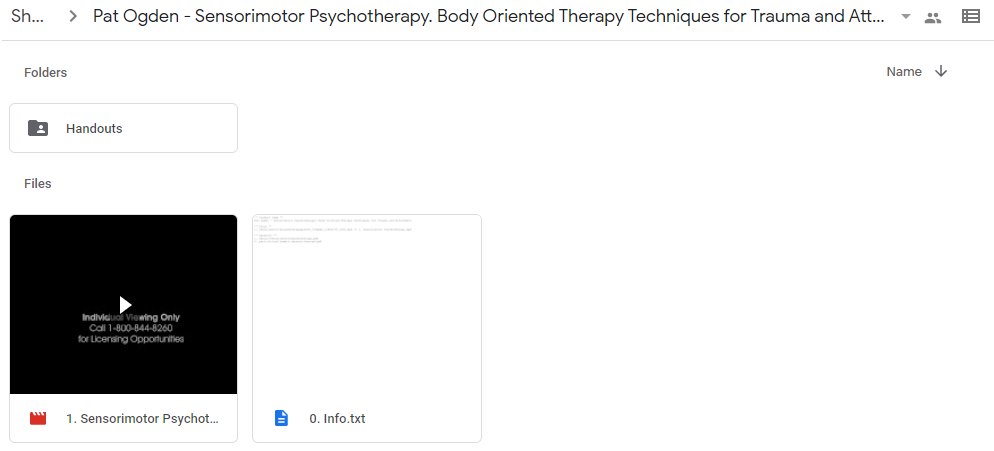 Sensorimotor Psychotherapy with Pat Ogden, Ph.D. Body Oriented Therapy Techniques for Trauma and Attachment