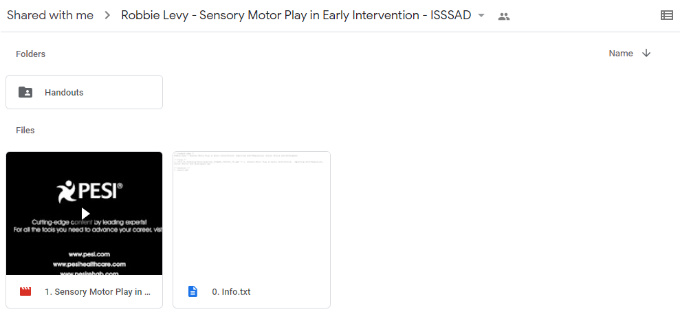 Sensory Motor Play in Early Intervention: Improving Self-Regulation, Social Skills and Development