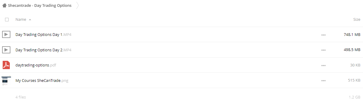 Shecantrade - Day Trading Options
