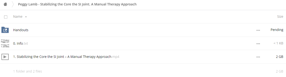 Stabilizing the Core & the SI Joint