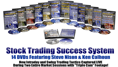 Stock Trading Success System 14 DVD