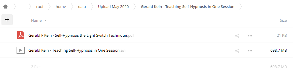 Gerald Kein - Teaching Self-Hypnosis in One Session