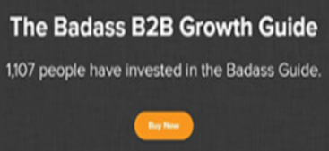 The Badass B2B Growth Guide