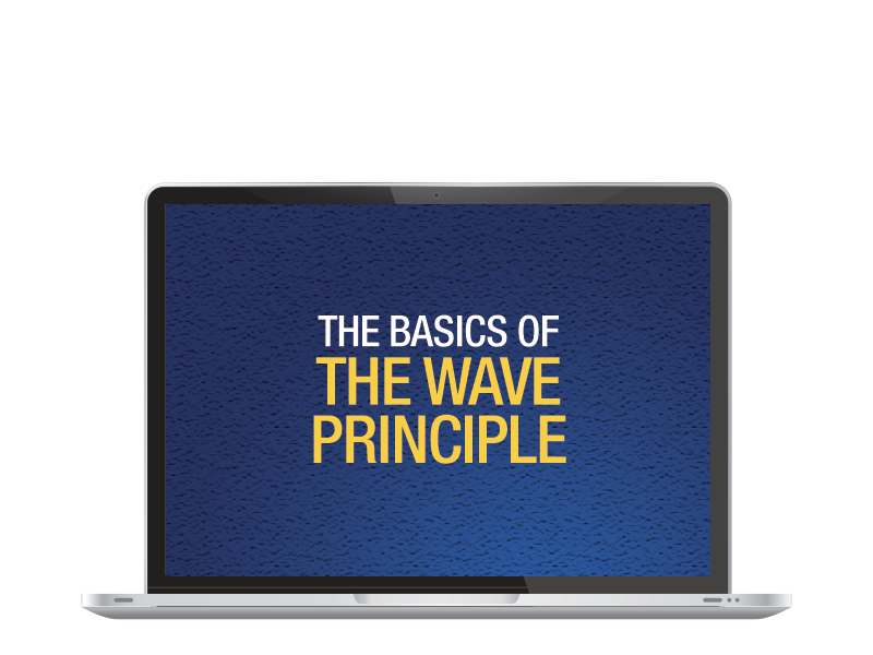 The Basics of the Wave Principle