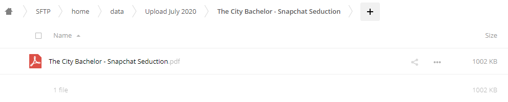 The City Bachelor