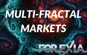 The Multi–Fractal Markets Educational Course1