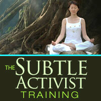 The Subtle Activist Training