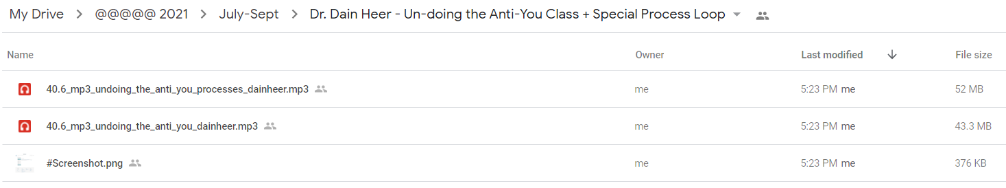 Dr. Dain Heer - Un-doing the Anti-You Class + Special Process Loop