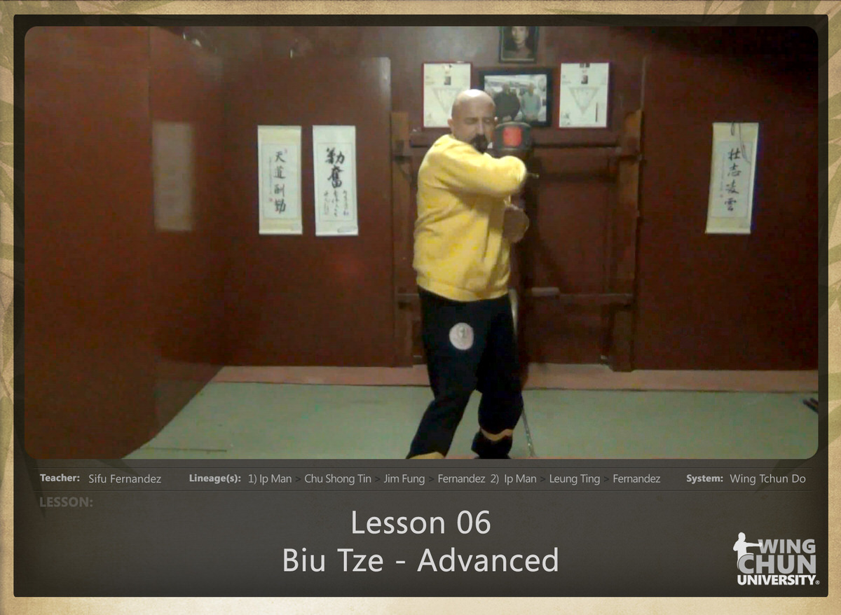 WingTchunDo - Lesson 06 - Biu Tze - Advanced