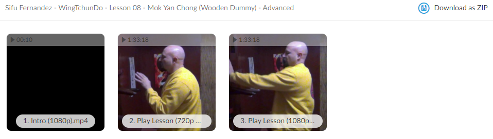 WingTchunDo - Lesson 08 - Mok Yan Chong (Wooden Dummy) - Advanced