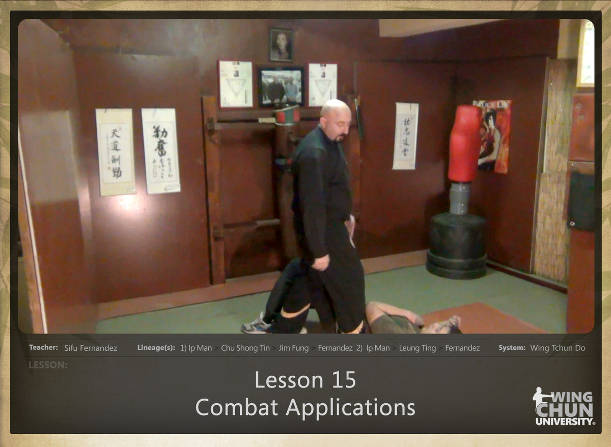 WingTchunDo - Lesson 15 - Combat Applications