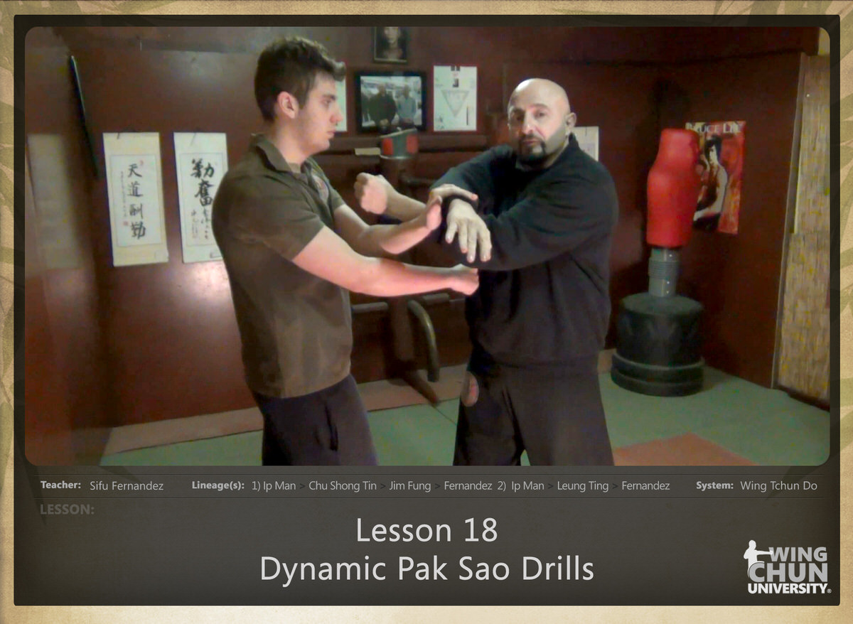 WingTchunDo - Lesson 18 - Dynamic Pak Sao Drills