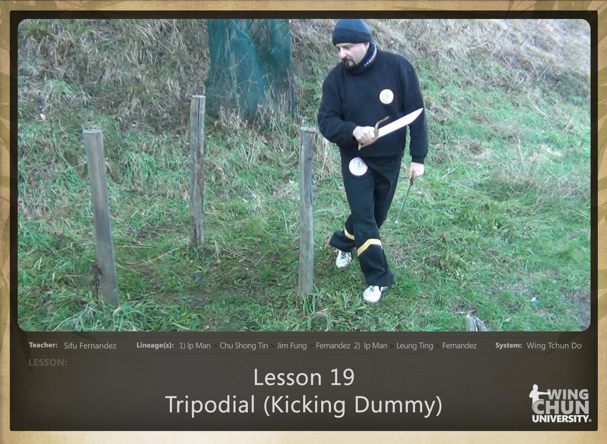 WingTchunDo - Lesson 19 - Tripodial (Kicking Dummy)