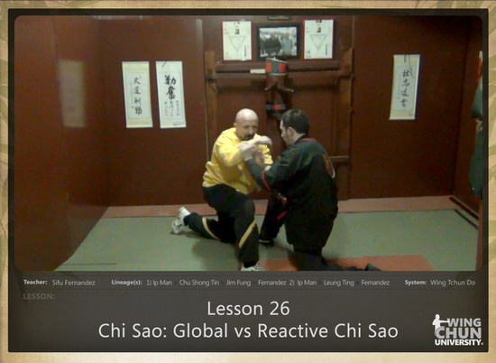 WingTchunDo - Lesson 26 - Chi Sao - Global vs Reactive Chi Sao