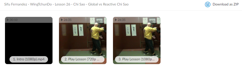 WingTchunDo - Lesson 26 - Chi Sao - Global vs Reactive Chi Sao