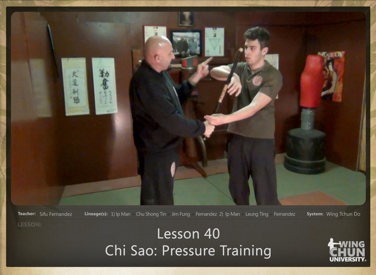 WingTchunDo - Lesson 40 - Chi Sao - Pressure Training