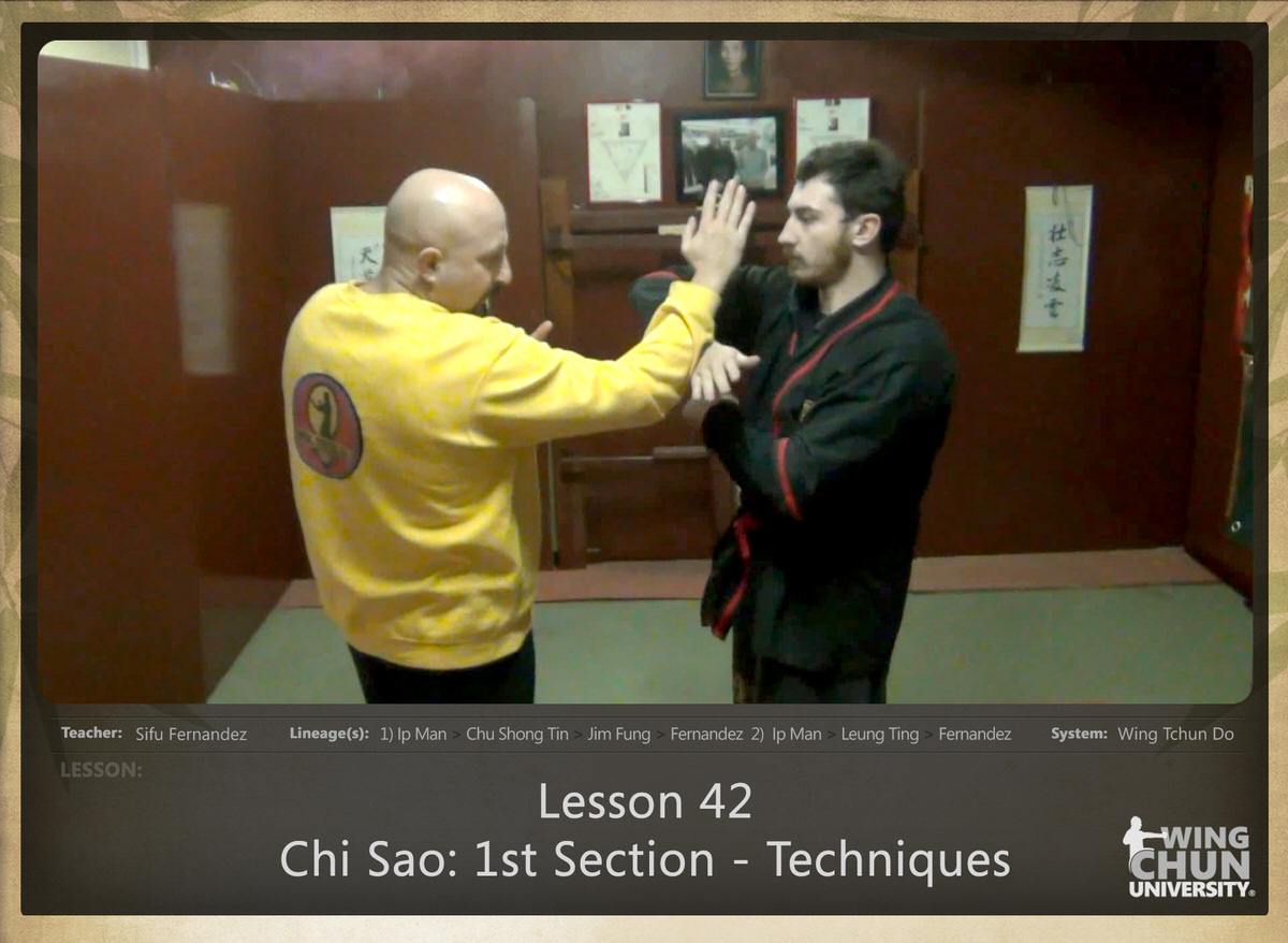 WingTchunDo - Lesson 42 - Chi Sao - 1st Section - Techniques