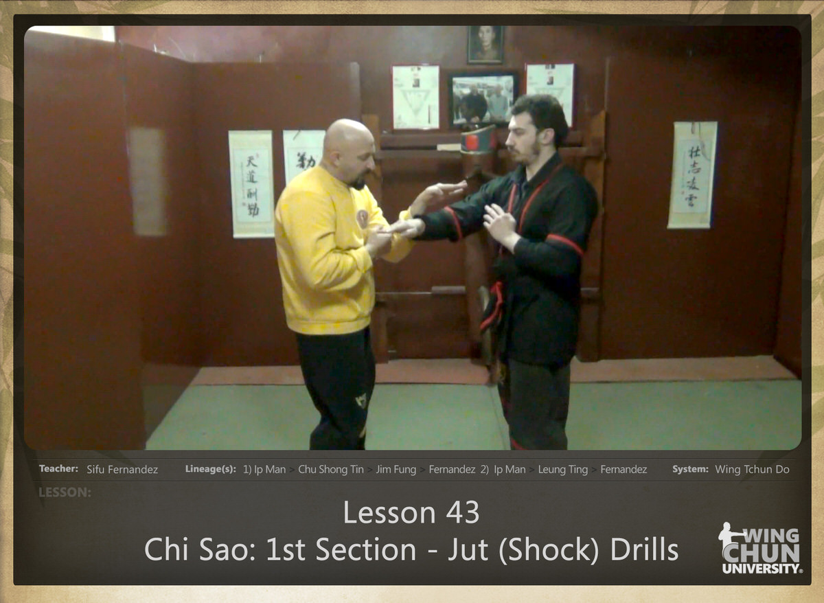 WingTchunDo - Lesson 43 - Chi Sao - 1st Section - Jut (Shock) Drills