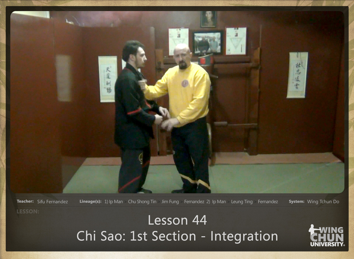 WingTchunDo - Lesson 44 - Chi Sao - 1st Section - Integration