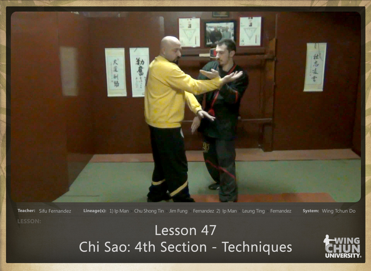 WingTchunDo - Lesson 47 - Chi Sao - 4th Section - Techniques