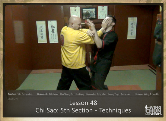 WingTchunDo - Lesson 48 - Chi Sao - 5th Section - Techniques