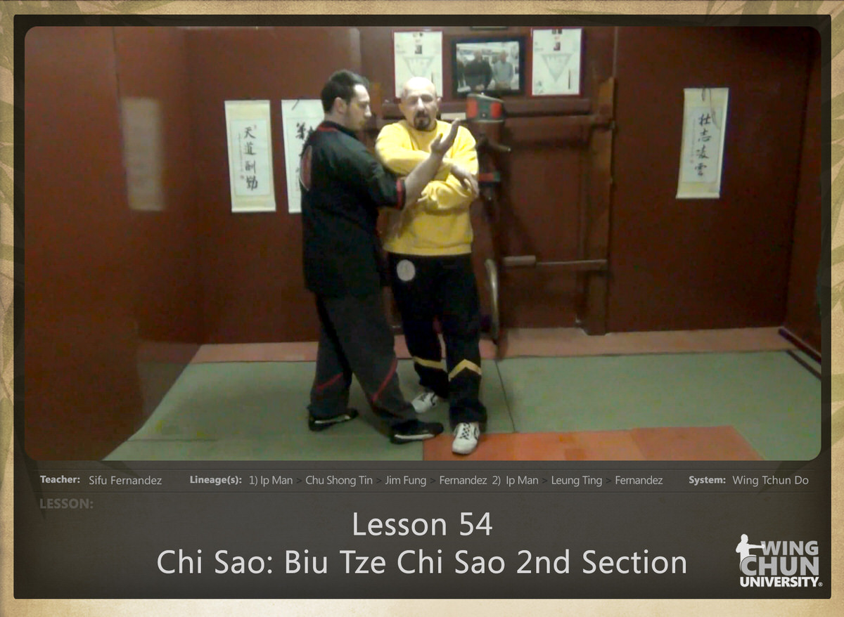 WingTchunDo - Lesson 54 - Chi Sao - Biu Tze Chi Sao 2nd Section