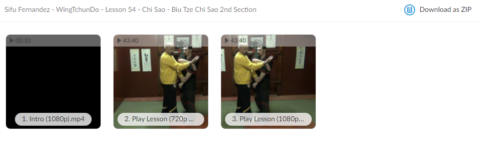 WingTchunDo - Lesson 54 - Chi Sao - Biu Tze Chi Sao 2nd Section