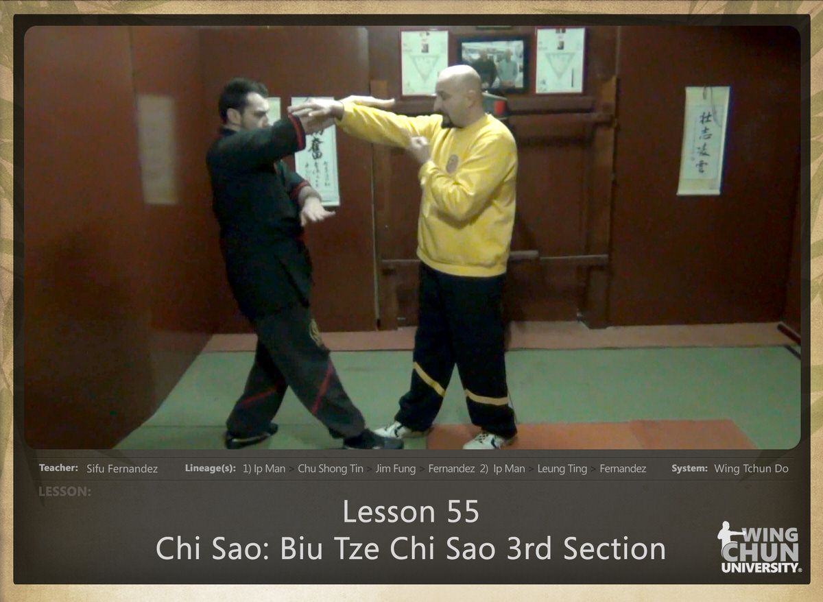 Sifu Fernandez - WingTchunDo - Lesson 55 - Chi Sao - Biu Tze Chi Sao 3rd Section