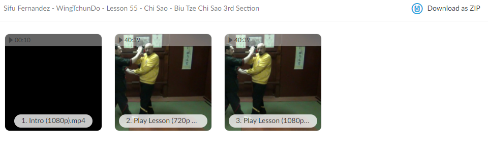 WingTchunDo - Lesson 55 - Chi Sao - Biu Tze Chi Sao 3rd Section