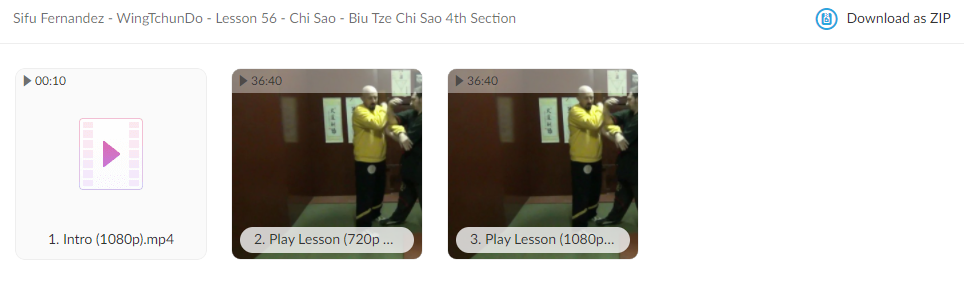 WingTchunDo - Lesson 56 - Chi Sao - Biu Tze Chi Sao 4th Section