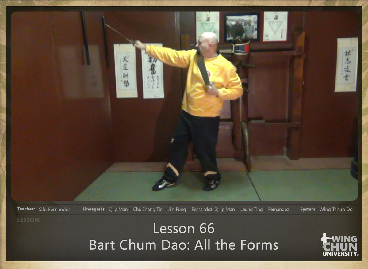 WingTchunDo - Lesson 66 - Bart Chum Dao - All the Forms with the Swords