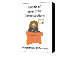  Jay Earley & Bonnie Weiss – All Demo Bundle of Demonstration IFS Sessions 