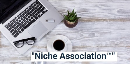 Ryan Lee - The Niche Association Workshop